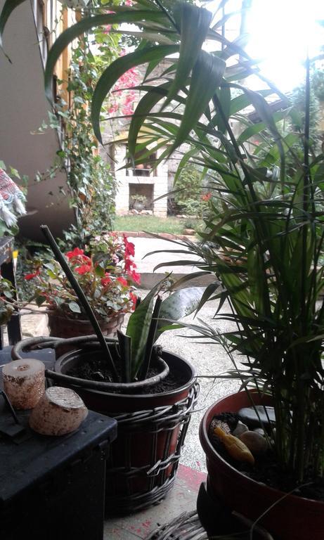 Apartment Centar SJJ Chambre photo